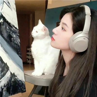 爱情有什么道理