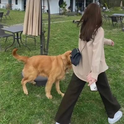 阳光的味道